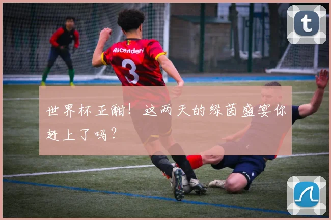 世界杯正酣！这两天的绿茵盛宴你赶上了吗？