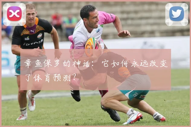章鱼保罗的神话：它如何永远改变了体育预测？