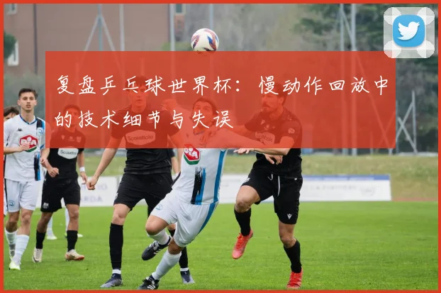 复盘乒乓球世界杯：慢动作回放中的技术细节与失误