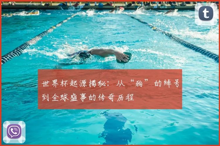 世界杯起源揭秘：从“狗”的绰号到全球盛事的传奇历程