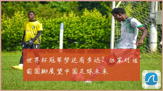 世界杯冠军梦还有多远？独家对话前国脚展望中国足球未来