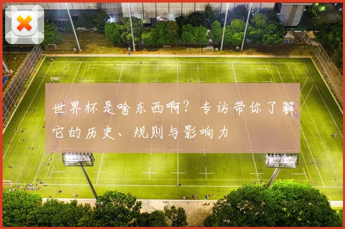 世界杯是啥东西啊？专访带你了解它的历史、规则与影响力